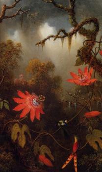 馬丁 約翰遜 赫德 Two Hummingbirds Perched on Passion Flower Vines 馬丁 約翰遜 赫德 Two Hummingbirds Perched on Passion Flower Vines